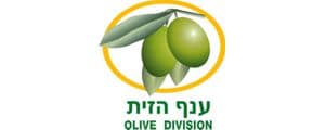 Olive Division